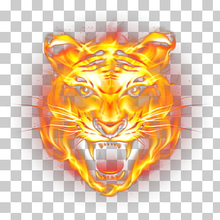 Tiger Fire Flame, HD tiger fierce flames, tiger flame PNG clipart