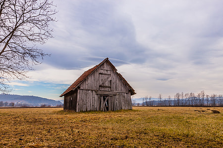 brown wooden shed on plains during daytime thumbnail