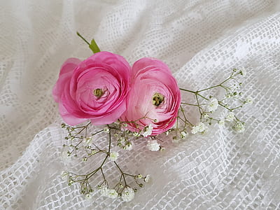 two pink and white petaled flowers on white textile thumbnail