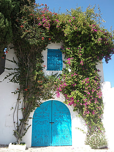 white concrete building surrounded with green plant at daytime thumbnail