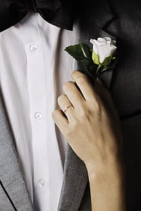 Person Holding White Rose thumbnail