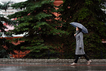 Woman Using Umbrella While Walking thumbnail