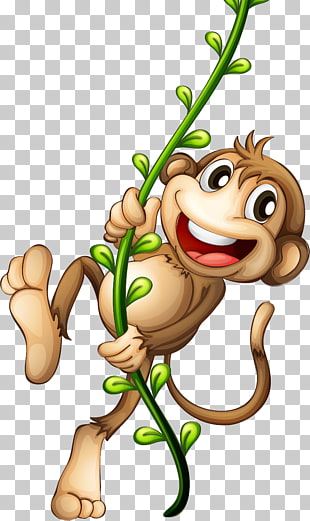 Cartoon Monkey , Cartoon monkey, monkey holding vine illustration PNG clipart