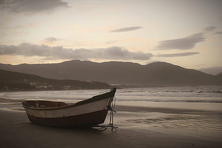white boat on shore thumbnail