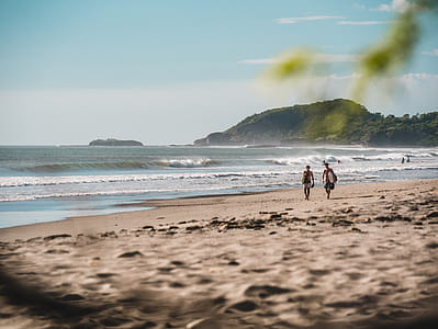 Two Person Walking on Beachside thumbnail