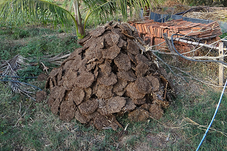 pile of compost material on green grass during daytime thumbnail