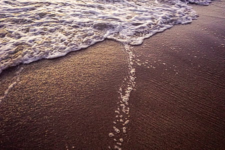 Close-up Photo of Seashore thumbnail