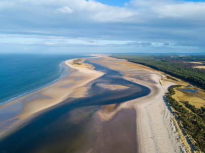 aerial photography of shore near trees at daytime thumbnail
