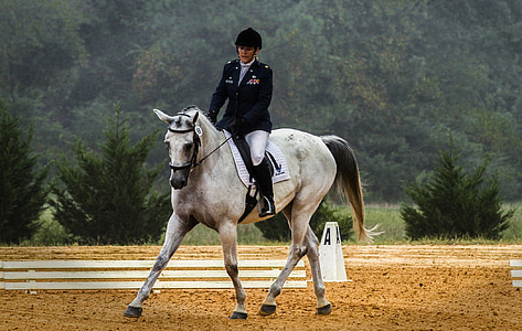 person riding white horse thumbnail