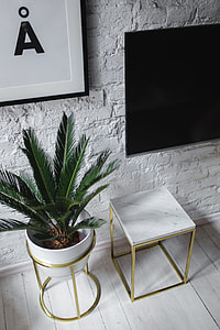 Living Room With Scandi Interior Design, Un'common Marble Table thumbnail