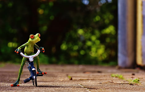frog riding bicycle thumbnail