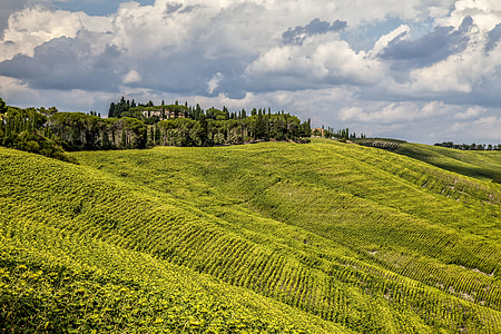 landscape photography of green grass field thumbnail