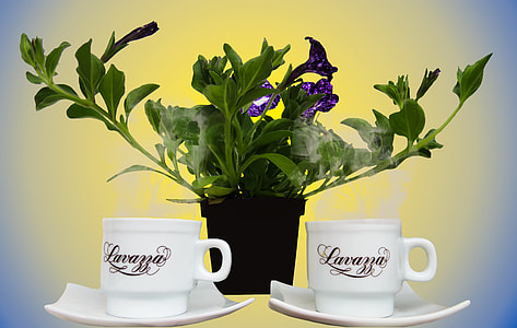two white cups and green potted plant thumbnail