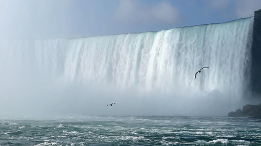 two birds flying beside waterfall under cloudy sky during daytime thumbnail