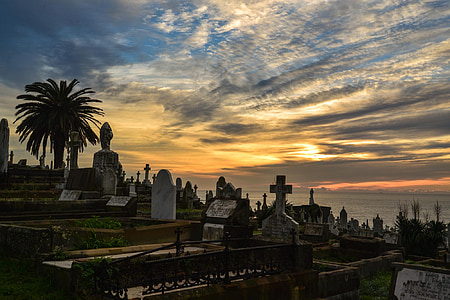 low-angle photography of cemetery near trees thumbnail