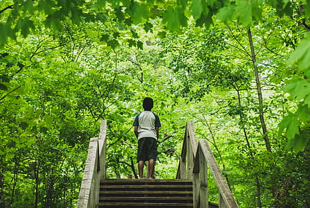 Person Standing in Stairs Looking Up thumbnail