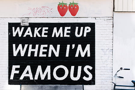 Wake Me Up When I'm Famous text thumbnail