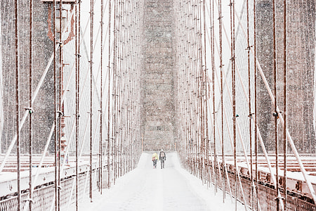 two person walking on road thumbnail