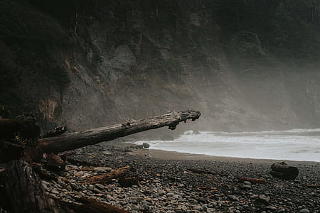 seashore during daytime thumbnail