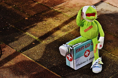 Kermit the Frog sitting on top of first aid box thumbnail