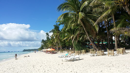 brown wooden chairs under coconut trees near seashore thumbnail