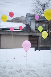 multicolored helium balloons on snow field thumbnail