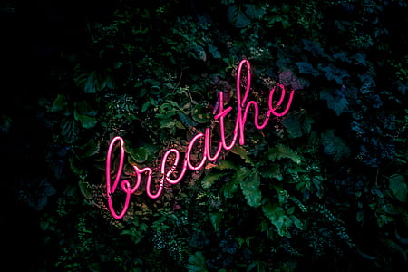BREATHE neon signage thumbnail