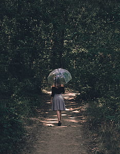 woman walking on pathway holding clear umbrella thumbnail