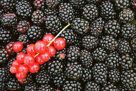 red cherries thumbnail