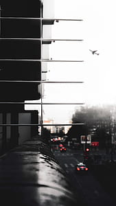 photo of flying plane during daytime thumbnail