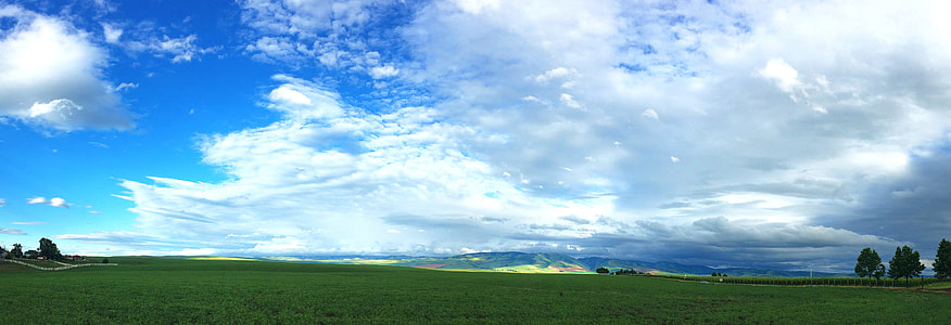 green grass field under blue sky at daytime photo thumbnail