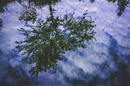 green leafed trees under purple and black skies during rain painting thumbnail