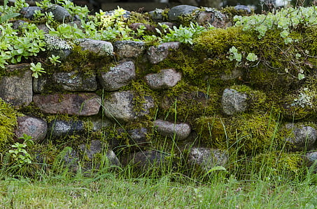 green grass near rock wall thumbnail