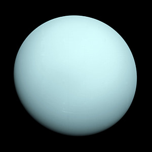 white egg thumbnail