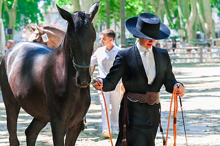 woman standing beside brown horse thumbnail