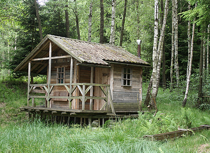 brown wooden house near in forest during daytime thumbnail