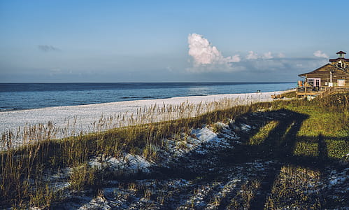 Brown House Near Seashore and Grasses thumbnail