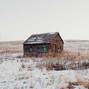brown shed surrounded with grasses and snow thumbnail