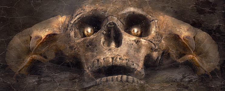 gray skull digital wallpaper thumbnail