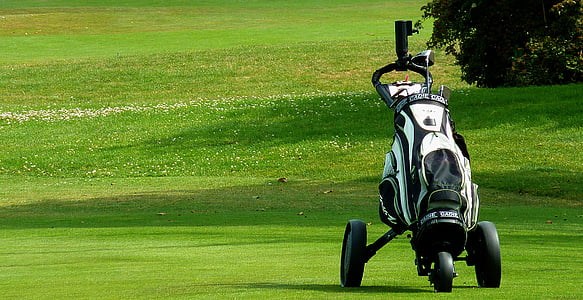 black and white golf bag thumbnail