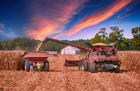 two person standing near red harvester under blue sky thumbnail