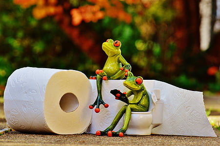 two tree frog figurines beside two white toilet papers thumbnail