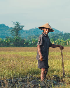 man farming during daytime thumbnail
