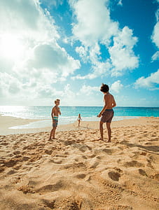 Group of People on Brown Sand thumbnail