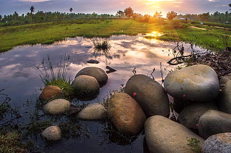rocks on body of water near trees thumbnail