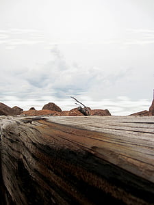 brown wooden log thumbnail