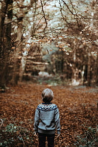 photo of boy facing forest thumbnail