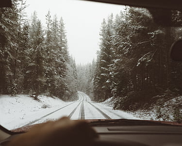 road covered by snow surrounded by trees thumbnail