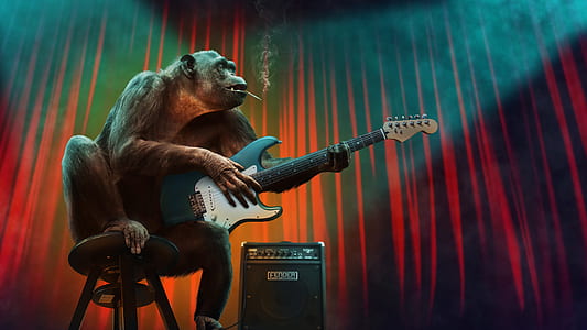 monkey playing guitar sitting on stool wallpaper thumbnail