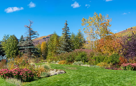 landscape photography of green grass field surrounded with trees thumbnail